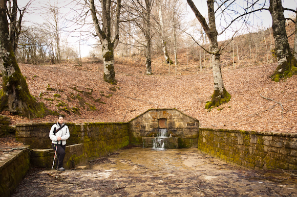 Parque Natural de Urbasa – Andia: Itinerario de las fuentes