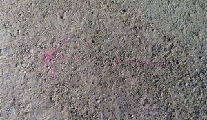 En las parcelarias, las marcas eran difíciles de identificar