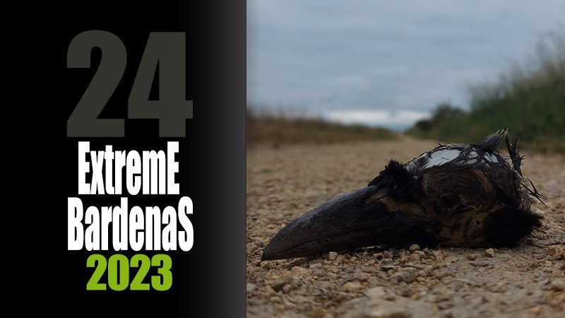 24ª Extreme Bardenas 2023